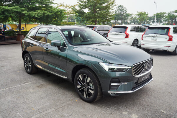 Volvo XC60 Xanh hồ rừng ánh kim (Forest Lake Metallic)